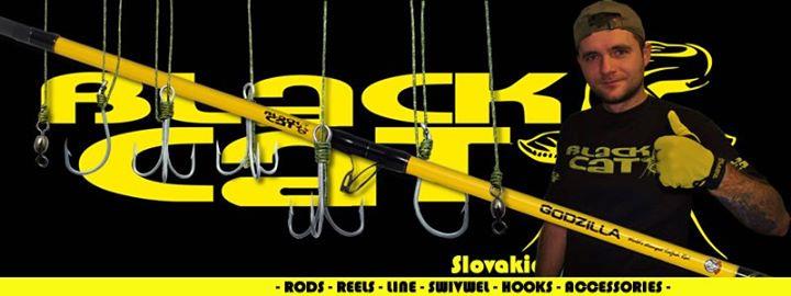 Black Cat - img17096942060980.jpeg